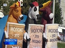 В Уфе прошёл VII ежегодный фестиваль «Молочная страна»