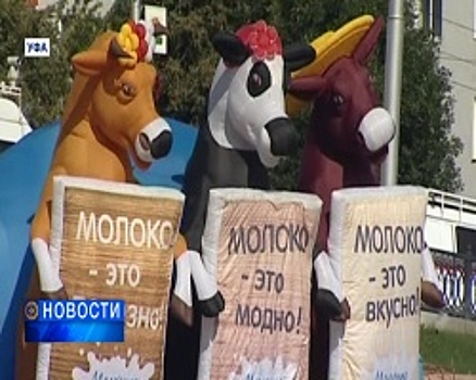 В Уфе прошёл VII ежегодный фестиваль «Молочная страна»