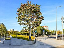 Собянин рассказал о ярких проектах благоустройства около транспортных объектов