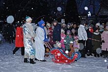 Горожане весело отпраздновали наступающий Новый год с «АиФ» в саду Кирова