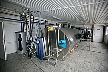 Новый молочный комплекс начал работу в Оренбуржье