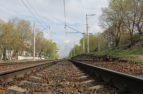 Региональные депутаты предложили разрешить продажу через Интернет билетов на поезда в Калининград