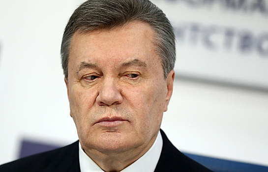 "Дело Януковича основано на желании расправы"