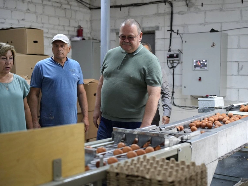 Олег Мельниченко посетил Никольский район