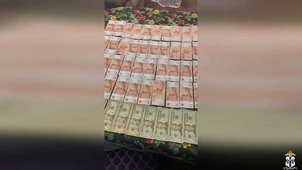 Новосибирская полиция задержала теневых банкиров, через руки которых прошло более 2 миллиардов рублей