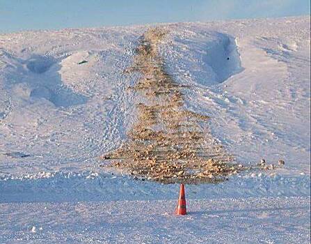 Дети вылетели на «ватрушке» под автомобиль в России