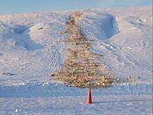 Дети вылетели на «ватрушке» под автомобиль в России