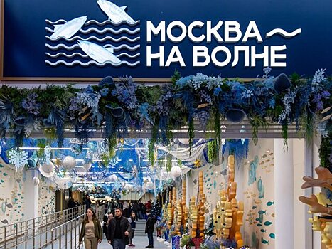Выручку рынка "Москва – на волне" направят в помощь пострадавшим в "Крокус Сити"