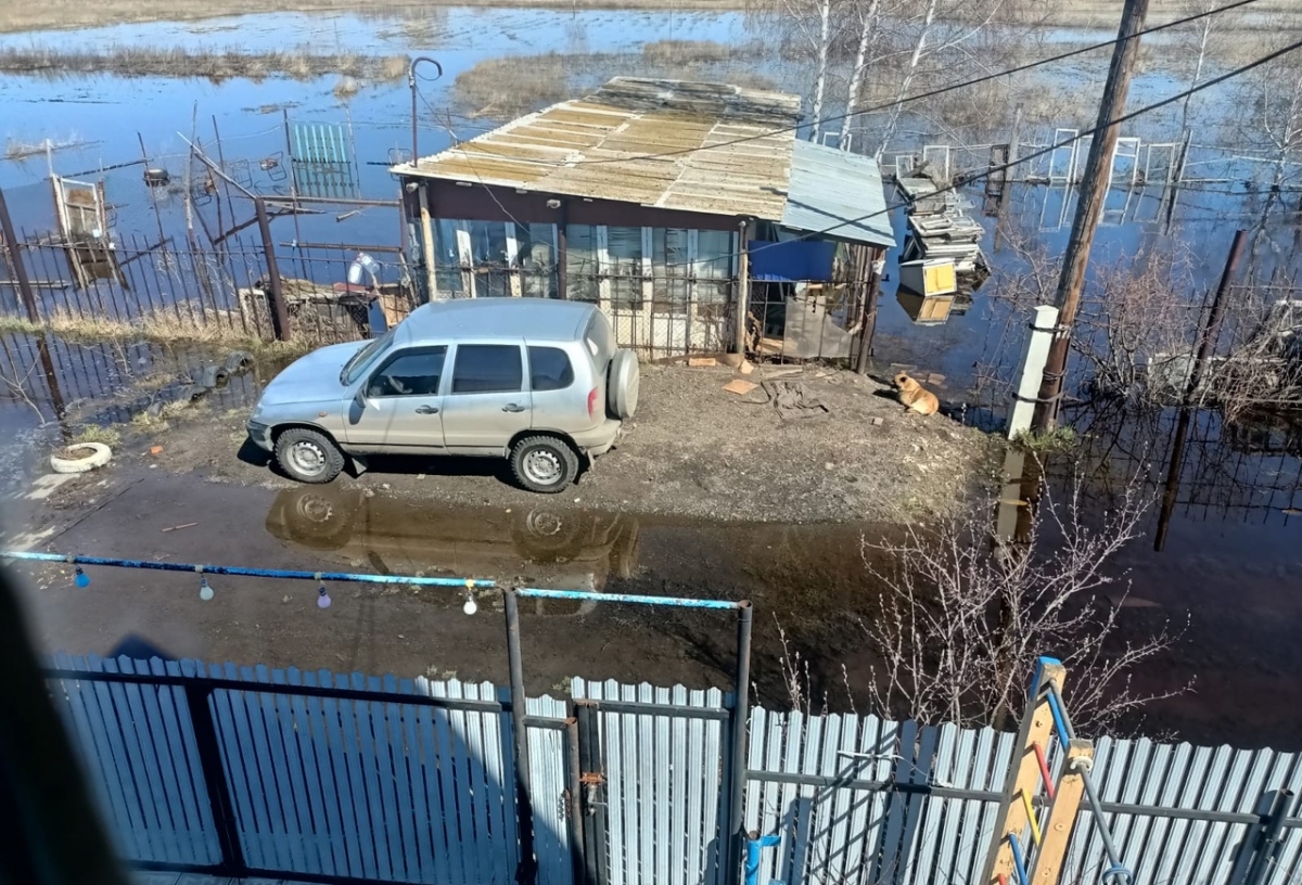«На аллеях вода больше 30 см»: в омском Осташково дачи продолжает заливать водой, гниют постройки и …