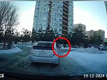 В Благовещенске стрельбу из автомобиля засняли на видео