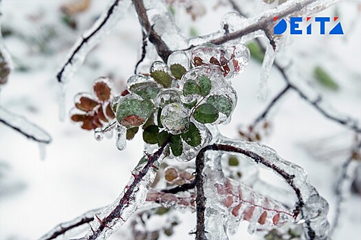 В Приморье ожидается похолодание до -20 °С 31 января