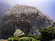Режиссер "Сокола и Зимнего солдата" Кари Скогланд снимет сиквел "Ветреной реки"