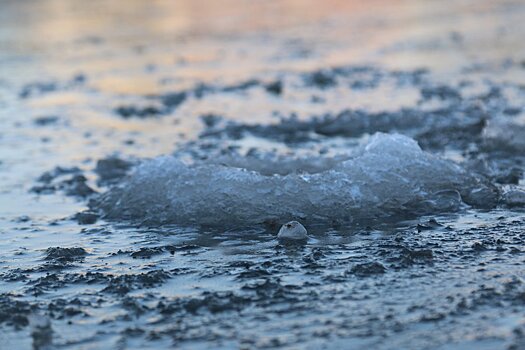 Автомобиль вмерз в лед Гребного канала