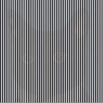 В интернете пытаются увидеть животное в оптической иллюзии