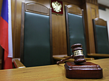 Россиянин получил пять лет колонии за взятку и сбитого полицейского