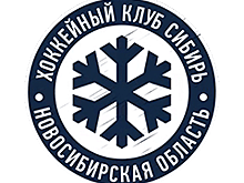 «Сибирь» одолела «Нефтехимик» и одержала вторую победу подряд