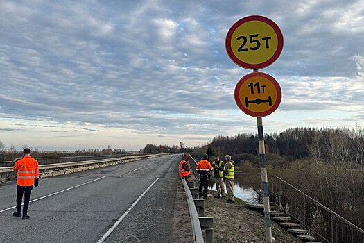 В Кировской области обследуют просевший из-за перегруженного автопоезда мост