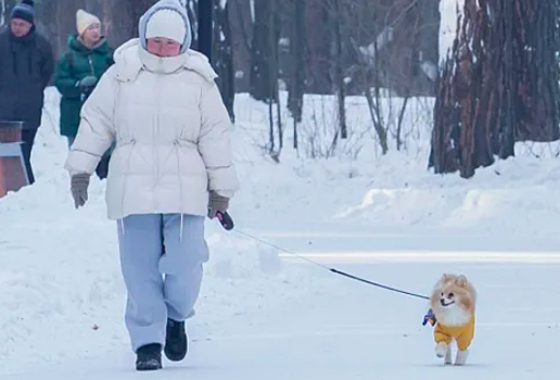 В Новосибирске назван срок устойчивого снежного покрова