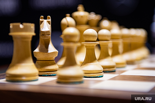 На экс-руководителя шахматной федерации ХМАО завели дело. Инсайд