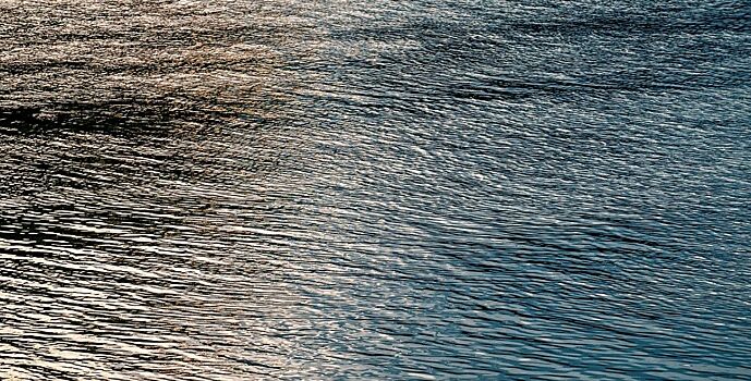 В пробах воды нескольких водоемов Ростова обнаружено микробное загрязнение