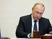 Путин подписал закон о штрафах за выброшенных животных и укусы питомцев