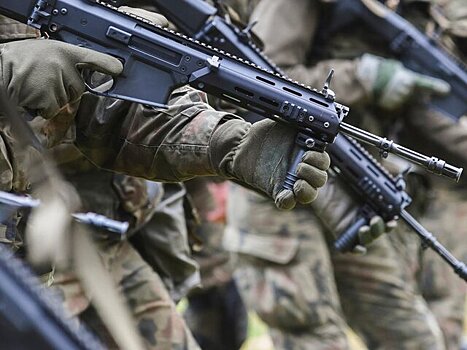 Депутат Молдавии Таубер: в стране могут появиться иностранные военные базы