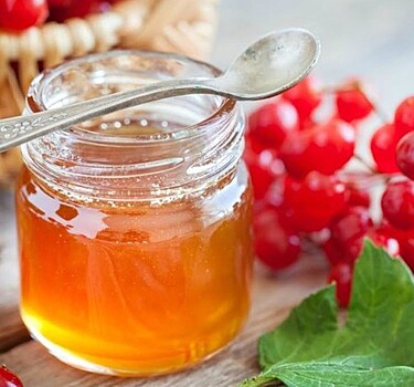 Чем полезна калина с медом и какие есть противопоказания