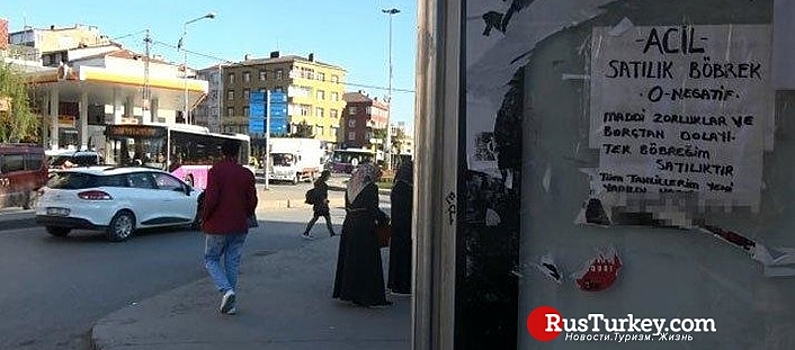 Житель Стамбула расклеял объявления о продаже почки