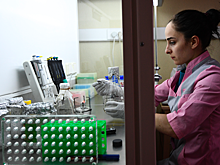 Ученые раскрыли природу нового коронавируса