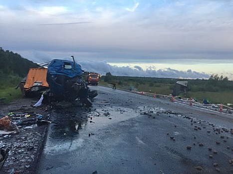 Лобовое столкновение в Нижегородской области унесло жизни двух человек (ФОТО)