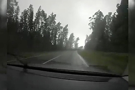 Китайские туристы попали под мощный ураган в Белоруссии и едва не погибли