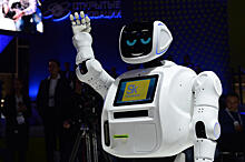 20 эмоций у человека научит распознавать роботов российский стартап Promobot