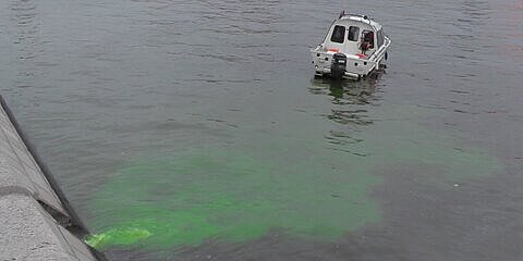 Эксперт объяснил зеленую воду в Москве-реке