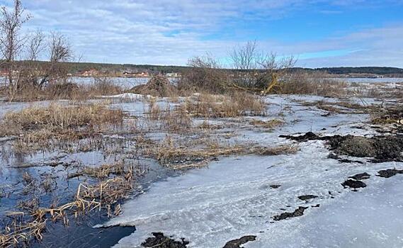 Сотрудники минприроды Курской области не нашли порыва канализационной трубы в деревне Духовец