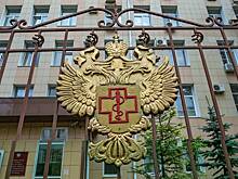 Описана ситуация с не имеющей лечения смертельной «лихорадкой ленивца» в России