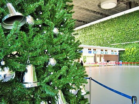 В аэропорту Симферополя установили самую большую в Крыму новогоднюю елку