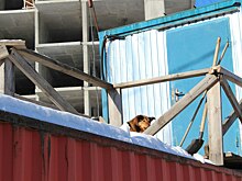 Дома «На Гончарова» достраивать не будут, помогать дольщикам — тоже