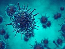 Информация по ситуации с ковид в Калужской области