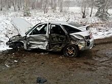 Семилетняя девочка едва не погибла в ДТП в Пластовском районе