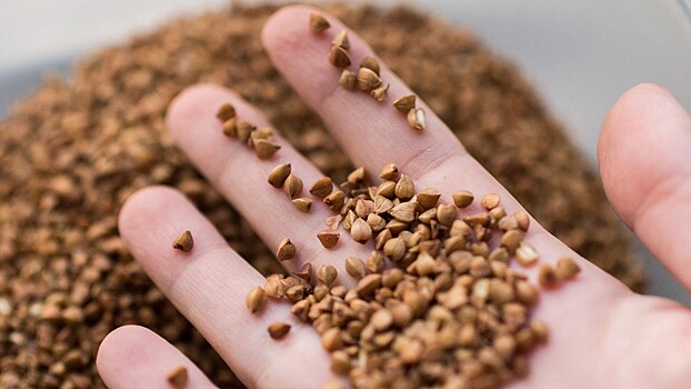 Как правильно хранить крупы, чтобы не заводились жучки