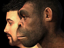 Ученый рассказал о перспективе создания совершенного человека