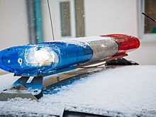 Ставропольская чиновница оказалась в руках силовиков по подозрению в мошенничестве