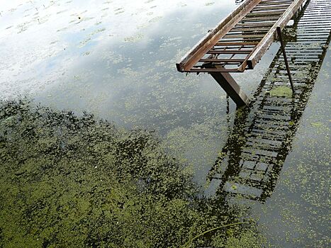 В Удмуртии водолазы ищут пропавших на прудах мужчину и женщину