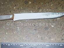 В Подмосковье задержан мужчина по подозрению в убийстве знакомой ножом