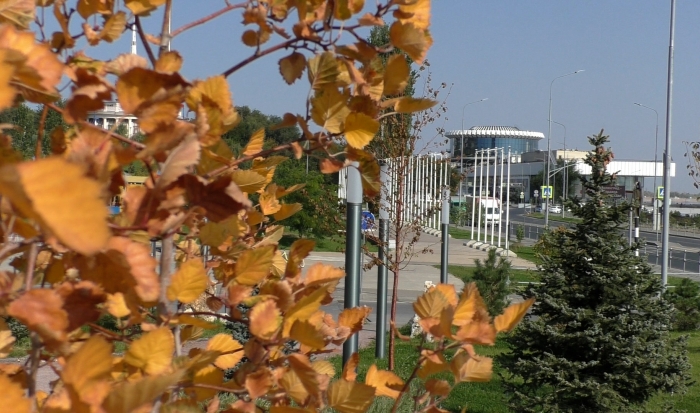 Жители южной части Волгограда жалуются на неприятный запах в воздухе