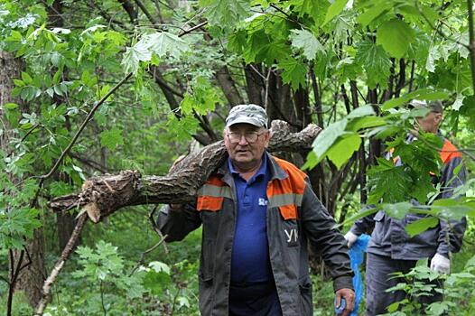 Жители Ижевска собрали 50 тонн валежника на субботнике у ипподрома