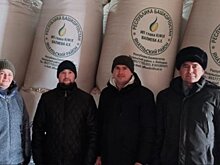 Новое семеноводческое хозяйство в Башкортостане намерено увеличить производство элитных семян