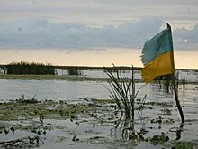 Политолог: Положение Зеленского соответствует шахматному цугцвангу