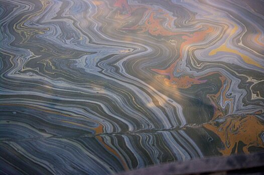 В протоке реки Волга саратовцы обнаружили мазут