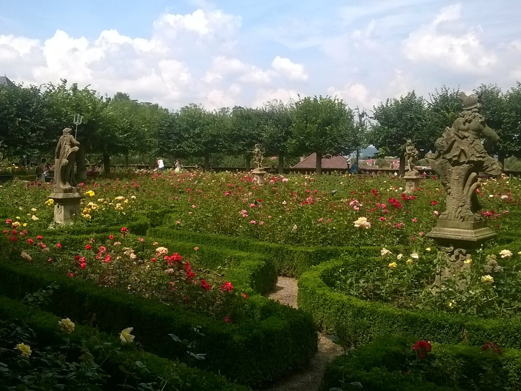 Сад роз, Бамберг, Бавария, Германия, Европа